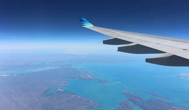 Plane View